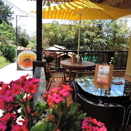 Oak Tree House Guest House Guatapé Екстериор снимка
